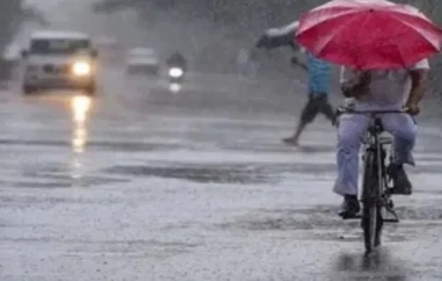 मौसम विभाग ने हिमाचल के 8 जिलों में 48 घंटे में भारी बारिश का ऑरेंज अलर्ट किया जारी 