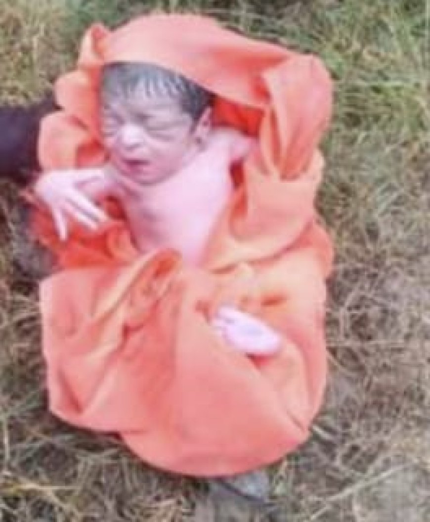मां की ममता हुई शर्मसार, कांगड़ा के रियाली में खेतों में जीवित मिली नवजात बच्ची