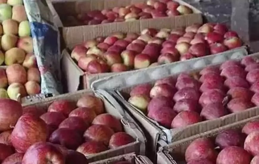 बिना बिचौलियों के सीधे केरल के बाजारों में उपलब्ध होगा हिमाचल, कश्मीर और उत्तराखंड का सेब  