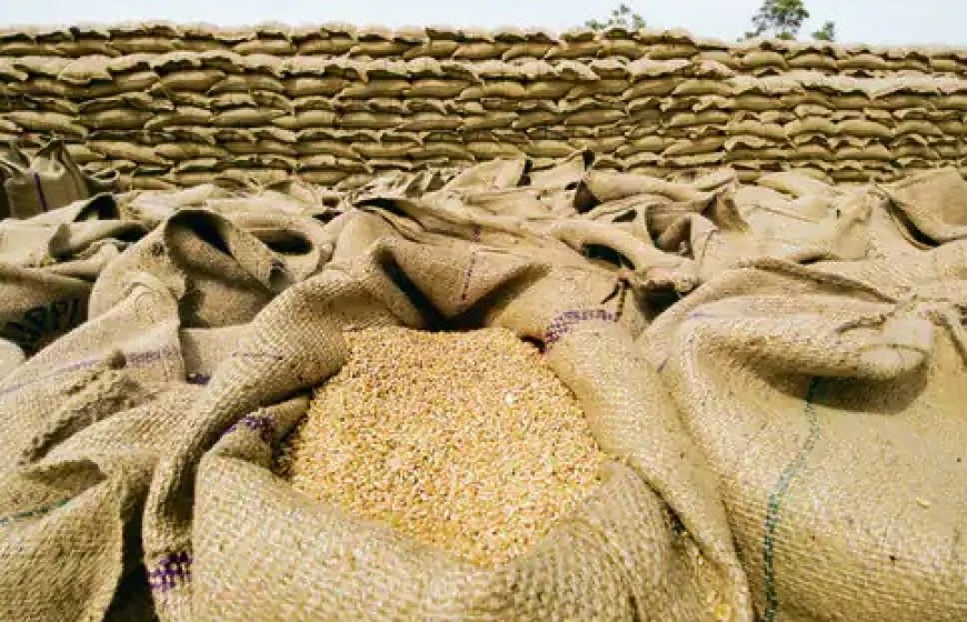 एफसीआई की पेशकश, खुले में बिक्री के लिए चावल और गेहूं उपलब्ध