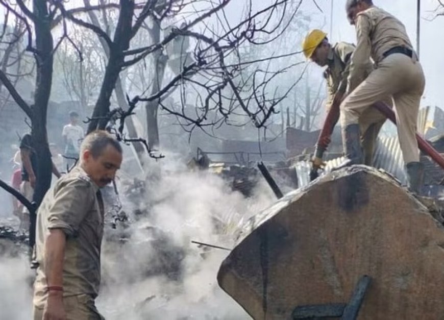 मनाली में भीषण अग्निकांड,सेब के बगीचे सहित नौ खोखे जलकर राख 