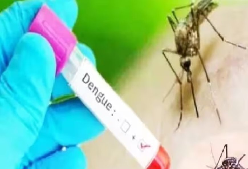 सिरमौर में डेंगू के 103 मामले आने से स्वास्थ्य विभाग अलर्ट  