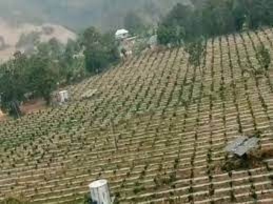 हिमाचल के किसानों के लिए कारगर साबित होगा एचपी शिवा प्रोजेक्ट , राज्य में बनेंगी 162 सिंचाई योजनाएं