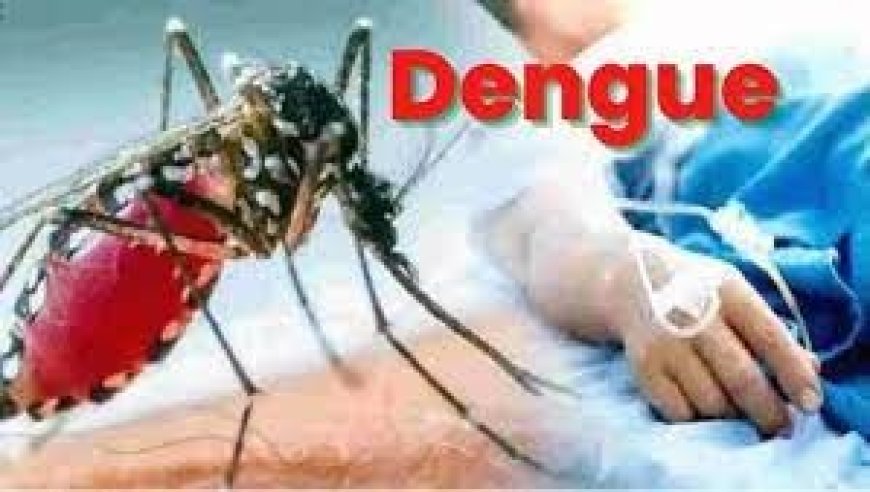पावंटा साहिब में डेंगू से दूसरी मौत, स्वास्थ्य विभाग अलर्ट