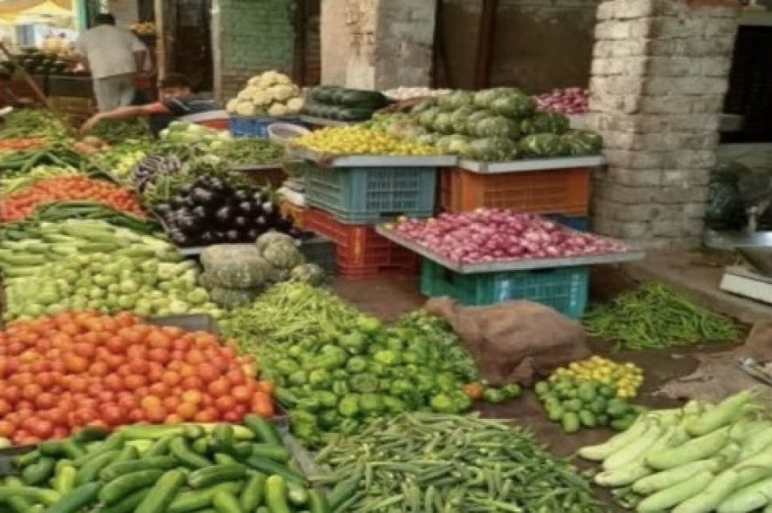 जनता को राहत : हिमाचल में रोजमर्रा की सब्जियों के दामों में गिरावट 