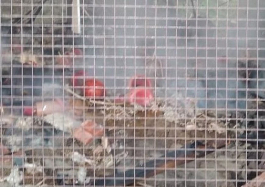 भीषण अग्निकांड के भेंट चढ़ा पोल्ट्री फार्म, जिंदा जले 5000 मुर्गे, लाखों का नुकसान