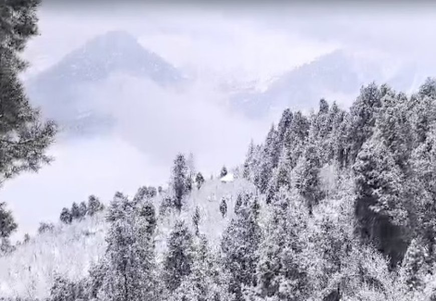 हिमाचल प्रदेश में आज और कल भारी बारिश-बर्फबारी का ऑरेंज अलर्ट जारी 