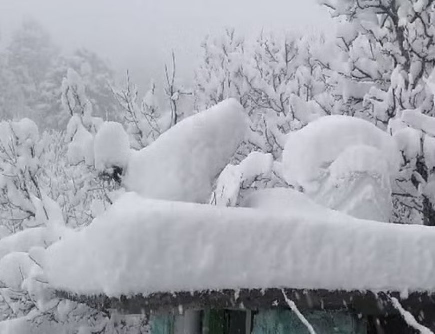 हिमाचल में रेड अलर्ट के बीच बारिश-बर्फबारी का क्रम लगातार जारी,  350 सड़कें यातायात के लिए बंद