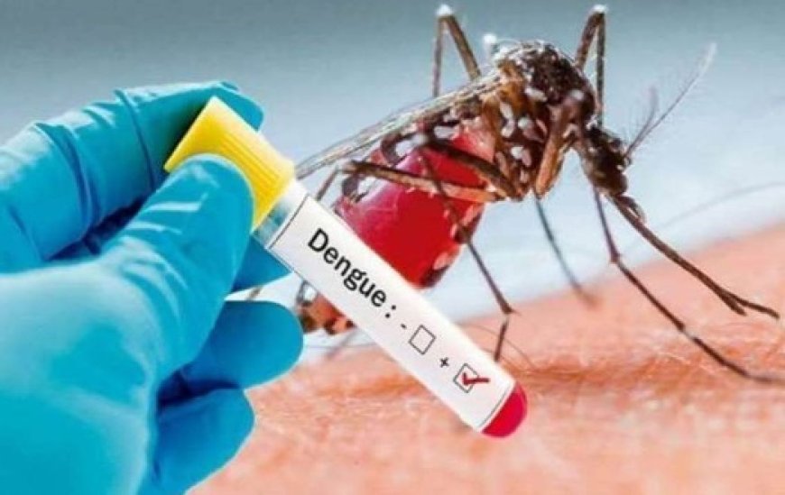 डेंगू की संभावना को देखते हुए स्वास्थ्य विभाग अलर्ट,बदलते मौसम को देखते हुए वायरस की चपेट में लोग
