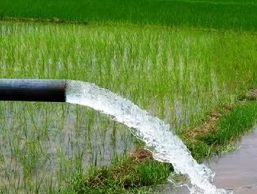 संगड़ाह की ग्राम पंचायत भराड़ी सिंचाई सुविधा से वंचित, खेती के लिए किसान बारिश पर निर्भर  