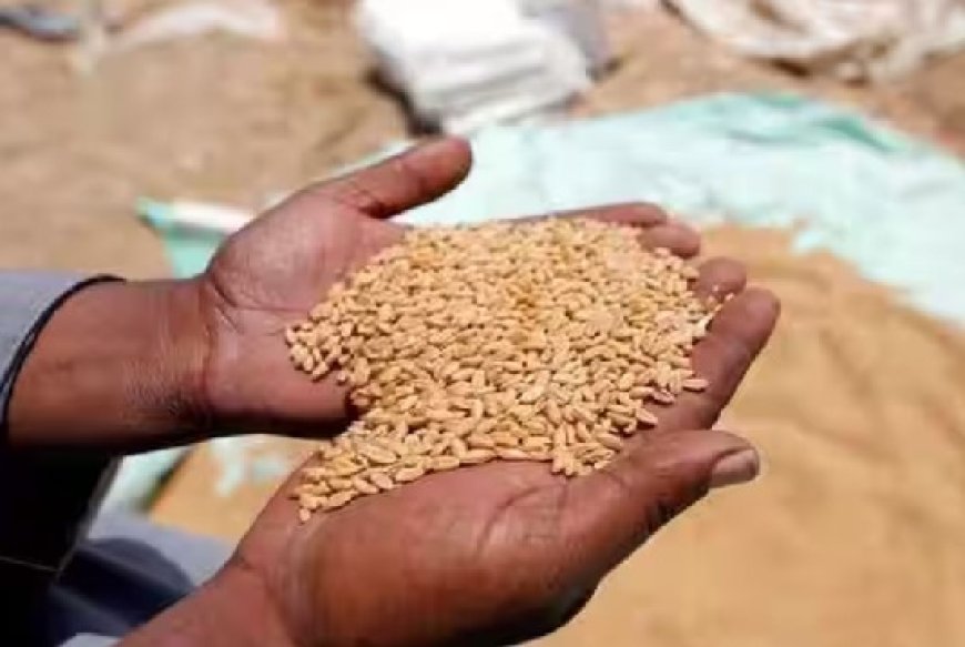 प्रदेश में किसानों से गेहूं की फसल खरीदने के लिए बनाए गए गेहूं खरीद केंद्रों में खरीद शुरू 