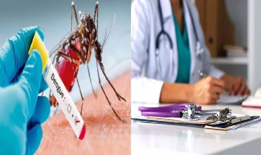 मलेरिया डेंगू को लेकर स्वास्थ्य विभाग पूरी तरह से तैयार : सीएमओ 