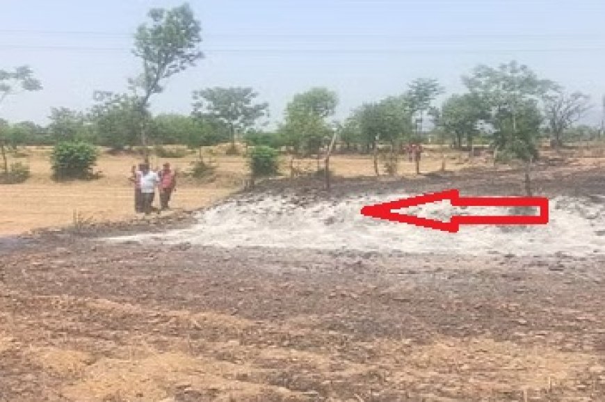 दर्दनाक : गेहूं के खेतों में लगी आग को बुझाते हुए एक बुजुर्ग की जिंदा जलने से मौत 