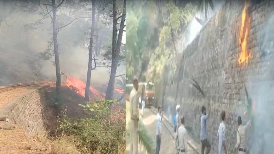 जंगल की आग ने रोका रेल मार्ग , आगजनी के चलते विश्व धरोहर कालका-शिमला ट्रैक पर रोकनी पड़ी दो ट्रेनें