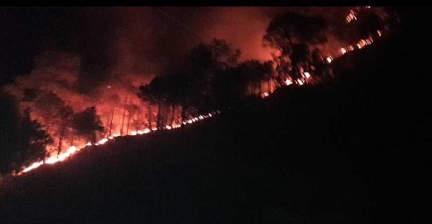 वन विभाग को सूचित किए बिना निजी भूमि में आग लगाना भी अपराध : डीएफओ