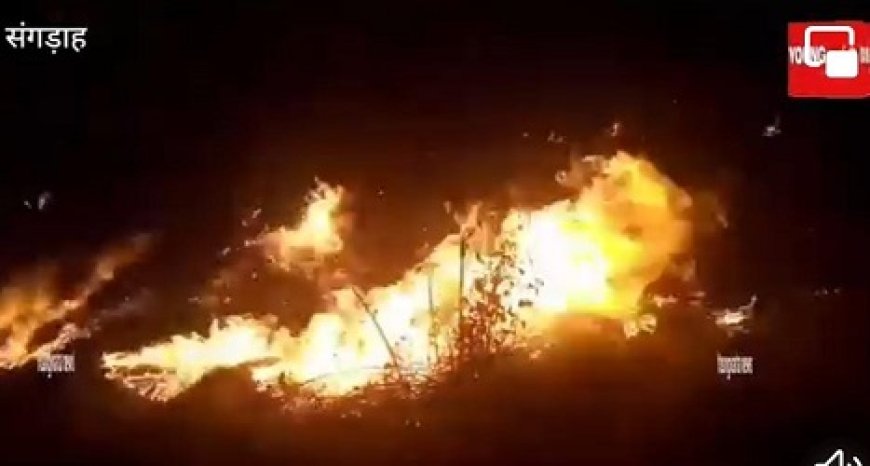 पावंटा साहिब - पड़ोसी द्वारा लगाई गई आग से लाखों के अखरोट की फसल स्वाह..