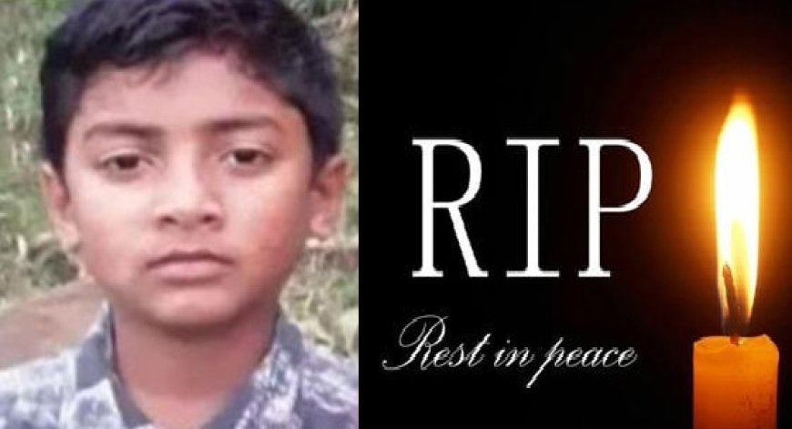दुःखद  : घासनी में लगी आग बुझाने गया गिरिपार के 12 वर्षीय बालक की मौत 