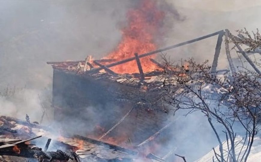 आगजनी की भेंट चढ़ा दो मंजिला मकान, जिंदा जली 11 भेड़ बकरियां, घटना में लाखों का नुकसान   