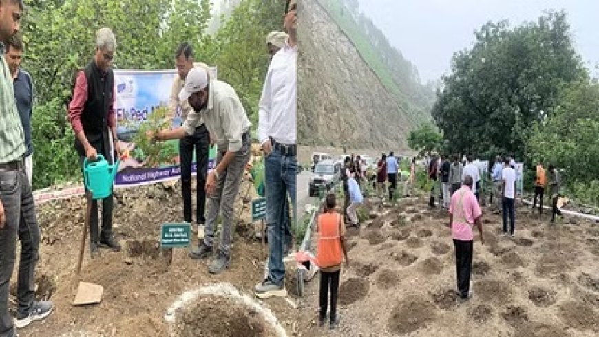 क्षेत्रीय अधिकारी के नेतृत्व में चंडीगढ़ हाईवे किनारे एक बूटा मां के नाम पौधारोपण अभियान शुरू