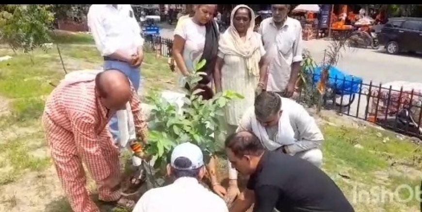 संजय चोपड़ा के संयोजन में वृक्षारोपण यात्रा निकालकर आम जनता को पर्यावरण के प्रति किया जागरूक