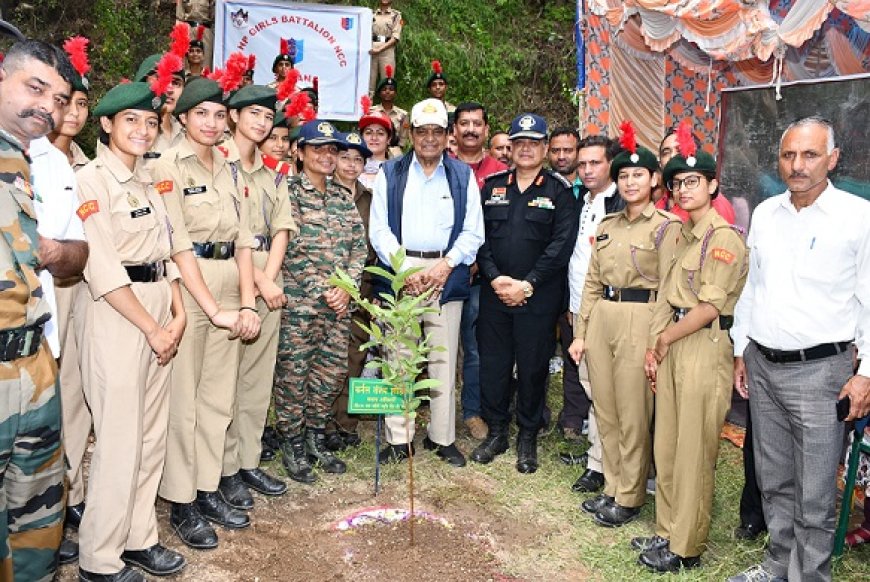 वृक्षारोपण को आदत में शुमार करें, राष्ट्र निर्माण में पर्यावरण संरक्षण की महत्वपूर्ण भूमिका : डॉ. शांडिल