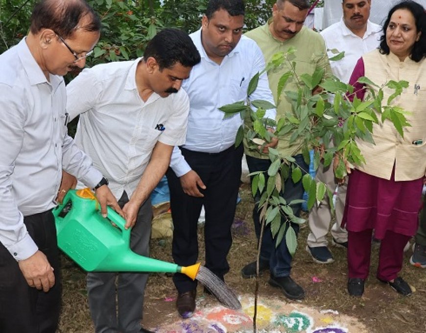 लोक निर्माण मंत्री ने ढांगसीधार में रोपा देवधार का पौधा 