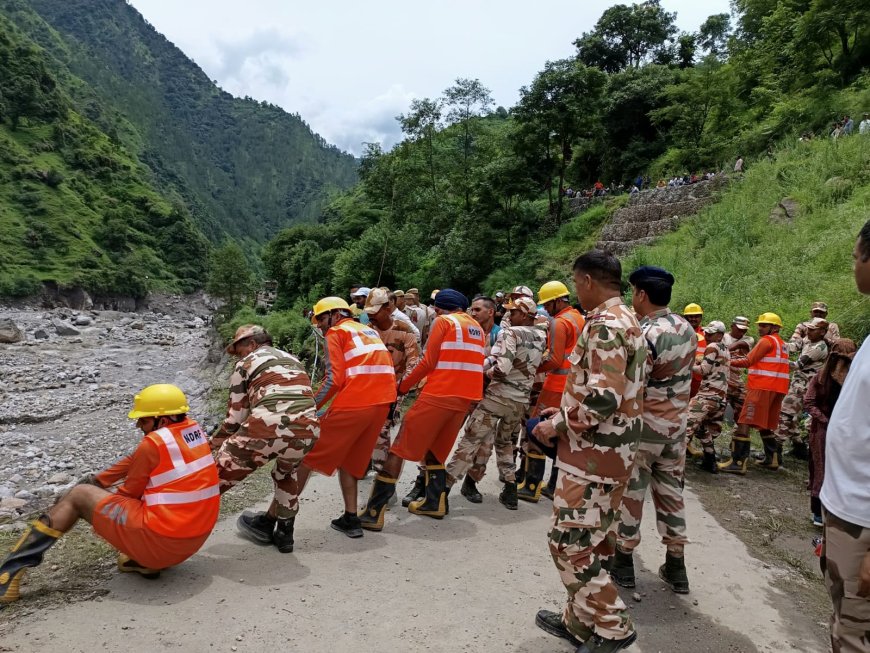 हिमाचल में अब भी 49 लोग लापता, एनडीआरएफ की मदद से चलाया जा रहा सर्च ऑपरेशन