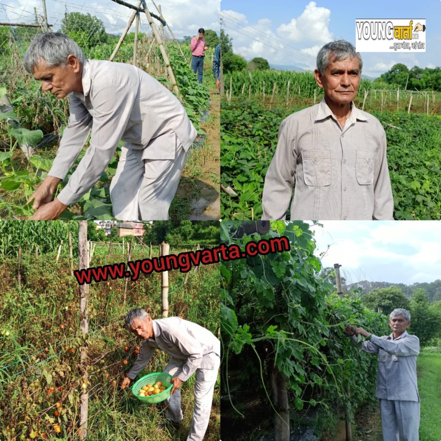 बेरोजगार युवाओं के लिए प्रेरणास्रोत बने सेवानिवृत्त शिक्षक , पुश्तैनी जमीन पर सोना उगा रहे हैं तरसेम चंद