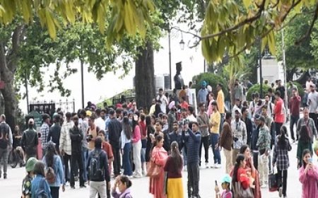 वीकेंड पर शिमला सहित कुफरी, नारकंडा, कसौली,धर्मशाला और मनाली में सैलानियों की संख्या में इजाफा