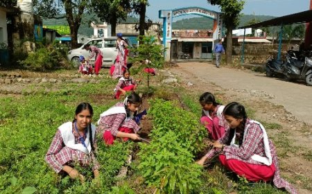 राजकीय वरिष्ठ माध्यमिक पाठशाला शिवपुर में NSS वॉलिंटियर्स ने की सफाई