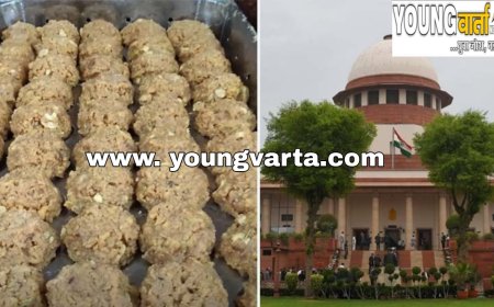 भगवान को राजनीति से रखे दूर, तिरुपति के लड्डू में मिलावटी घी पर सुप्रीम कोर्ट में सुनवाई के दौरान किसने क्या कहा 