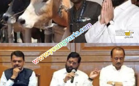 देश में इस राज्य की सरकार ने गाय को दिया राज्यमाता का दर्जा , कैबिनेट की बैठक में लिया फैसला लिया