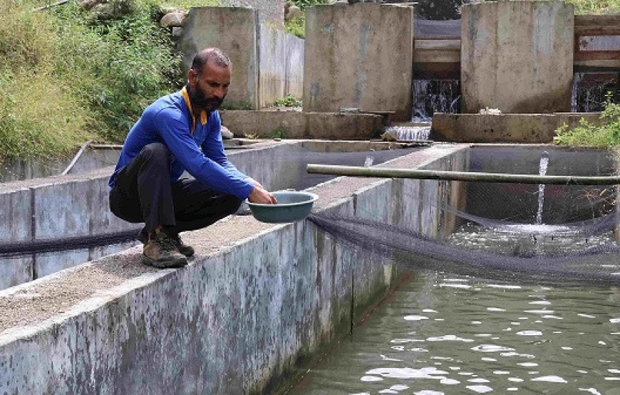 सफलता की कहानी : दो बीघा बंजर भूमि में ट्राउट मछली पालन करके 5 लोग सालाना कमा रहे 15 से 18 लाख रुपये  