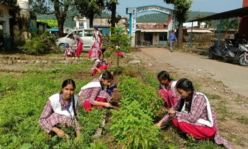 राजकीय वरिष्ठ माध्यमिक पाठशाला शिवपुर में NSS वॉलिंटियर्स ने की सफाई  