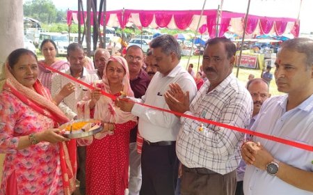 विधायक सुरेश कुमार ने जाहू में मेवा उत्सव का किया शुभांरभ