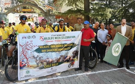 पर्यावरण को बचाना आज के समय में बेहद जरुरी : अनिरुद्ध सिंह