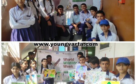 वाइल्ड लाइफ एट द रिस्क ऑफ क्लाइमेट चेंज पर आयोजित स्पर्धा में डीएवीएन पब्लिक स्कूल ददाहू के छात्रों ने लिया भाग
