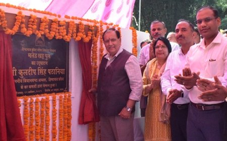 विधानसभा अध्यक्ष कुलदीप सिंह पठानिया ने 1 करोड़ 84 लाख की राशि से निर्मित होने वाले पुल का किया लोकार्पण   