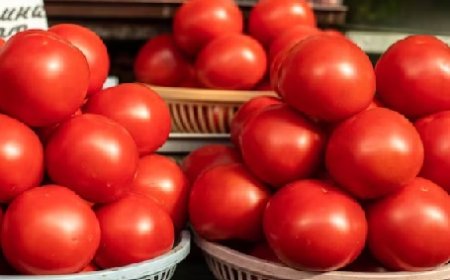 शिमला के बाजारों में एक हफ्ते में 40 रुपये प्रति किलो तक बढे़ टमाटर के दाम 