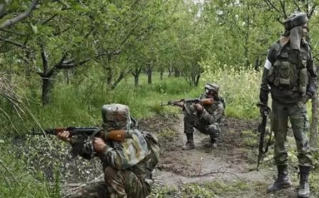 सुरक्षाबलों और नक्सलियों के बीच मुठभेड़ में एक नक्सली ढेर 