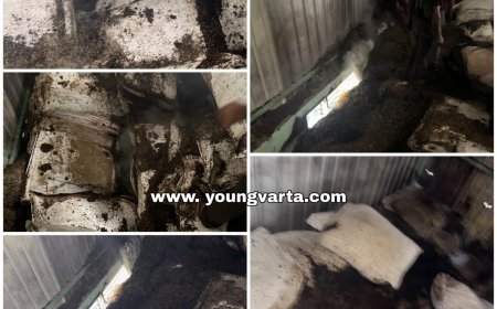 इंडो हर्बल कंपनी के गोदाम में लगी आग , लाखों रुपयों का कच्चा माल जलकर राख