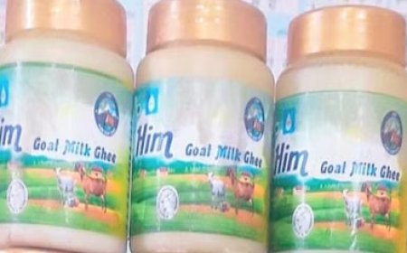 ऊना के झलेड़ा मिल्क प्लांट में प्रोटीन और कैल्शियम से भरपूर बकरी के दूध से घी का उत्पादन शुरू 