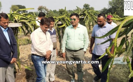 ड्रैगन फल के बगीचे में पहुंचे बागवानी मंत्री , अधिकारियों को दिए ड्रैगन फल के बागीचे और पौधशाला की स्थापना के निर्देश