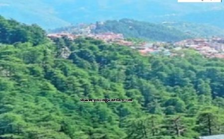 बल्क ड्रग पार्क बनाने वाली कंपनी के अपशिष्ट जल उपचार संयंत्र में दो कामगारों की मौत, मामला दर्ज