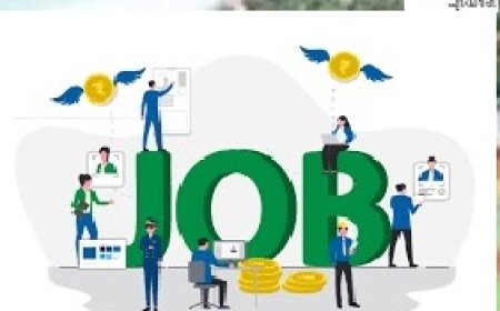 डाइट सोलन की पहल : जेबीटी प्रशिक्षुओं को निजी शिक्षण संस्थानों में भी मिलेंगी नौकरी