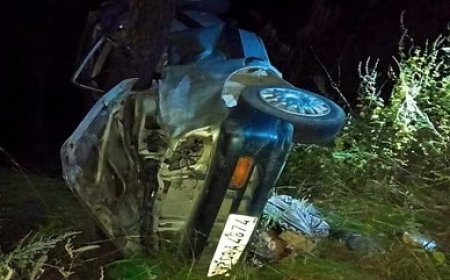 अनियंत्रित होकर गहरी खाई में गिरी कार, हादसे में चालक की मौत, अन्य एक घायल