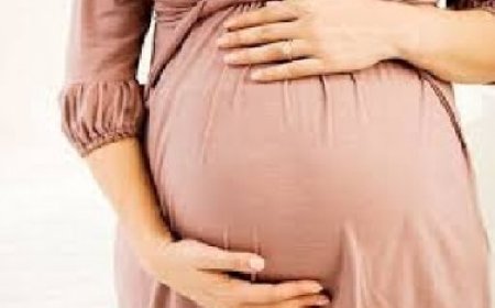 प्रदेश में अब गर्भवती महिलाओं को चेहरा स्कैन कर आंगनबाड़ी केंद्रों में मिलेगा पूर्ण आहार  