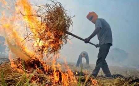 पराली जलाने से दिल्ली सहित मैदानी इलाकों की हवा में घुल रहा जहर, तो हिमाचल की हवा साफ़ सुथरी