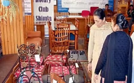 हिमाचल की जेलों में कैदियों द्वारा बनाया जा रहा फर्नीचर लोगों के घरों के ड्राइंग रूम की बढ़ा रहा शोभा