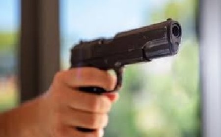 सैर पर निकले पिता-पुत्र पर एक शख्स ने चलाई गोलियां, दोनों घायल 